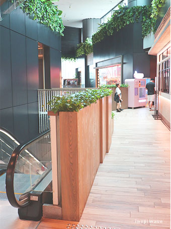 The Forest Interior