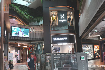 The Forest second  floor