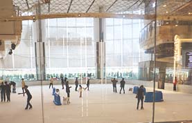 Ice Rink at Elements