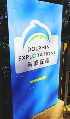 Dolphin Explorations