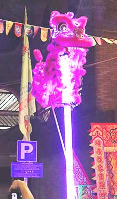 Lion dancing performance