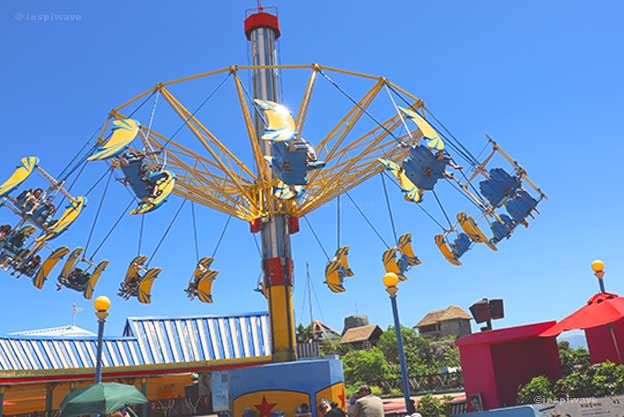 Whirly Bird
