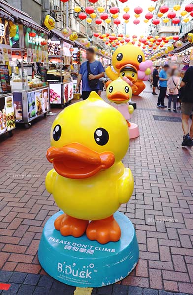 B.Duck Statue Display