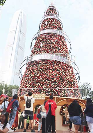 20 foot Christmas Tree in Central