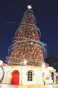 Christmas Tree in Central at Night